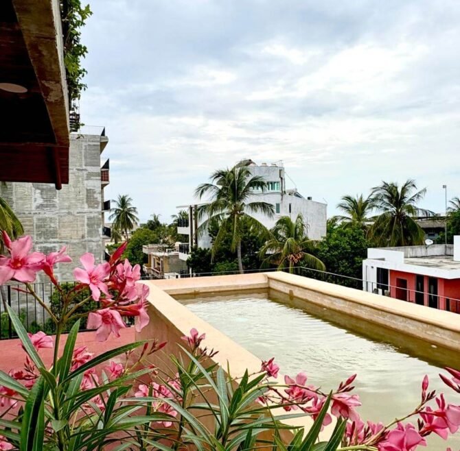 ea2b27e8-e77c-46ad-b6f0-614b40958394